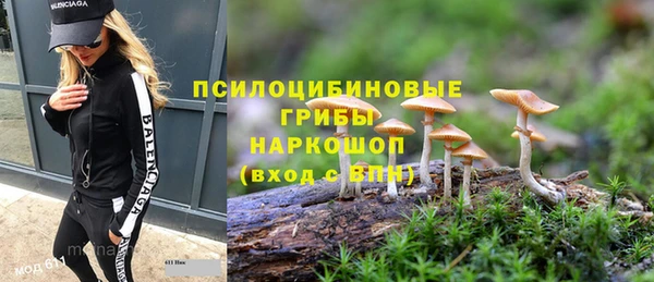 первитин Армянск