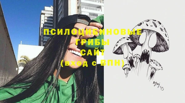 первитин Армянск