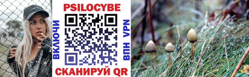 Купить где  Суоярви  Галлюциногенные грибы ЛСД 